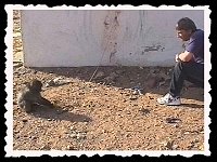 Foto 009